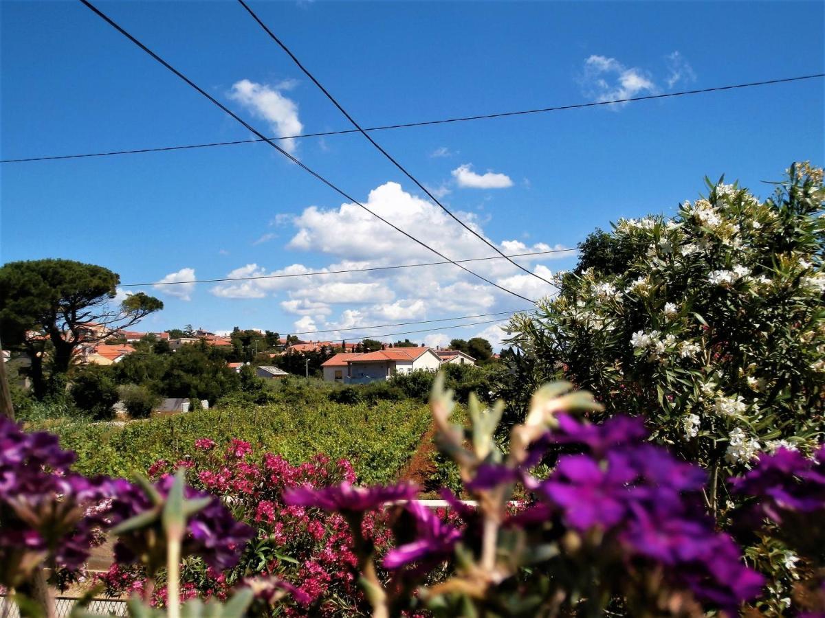 Apartment Agava Istria - Family Vacation Rental With Free Parking, Garden, Wifi Ližnjan Dış mekan fotoğraf