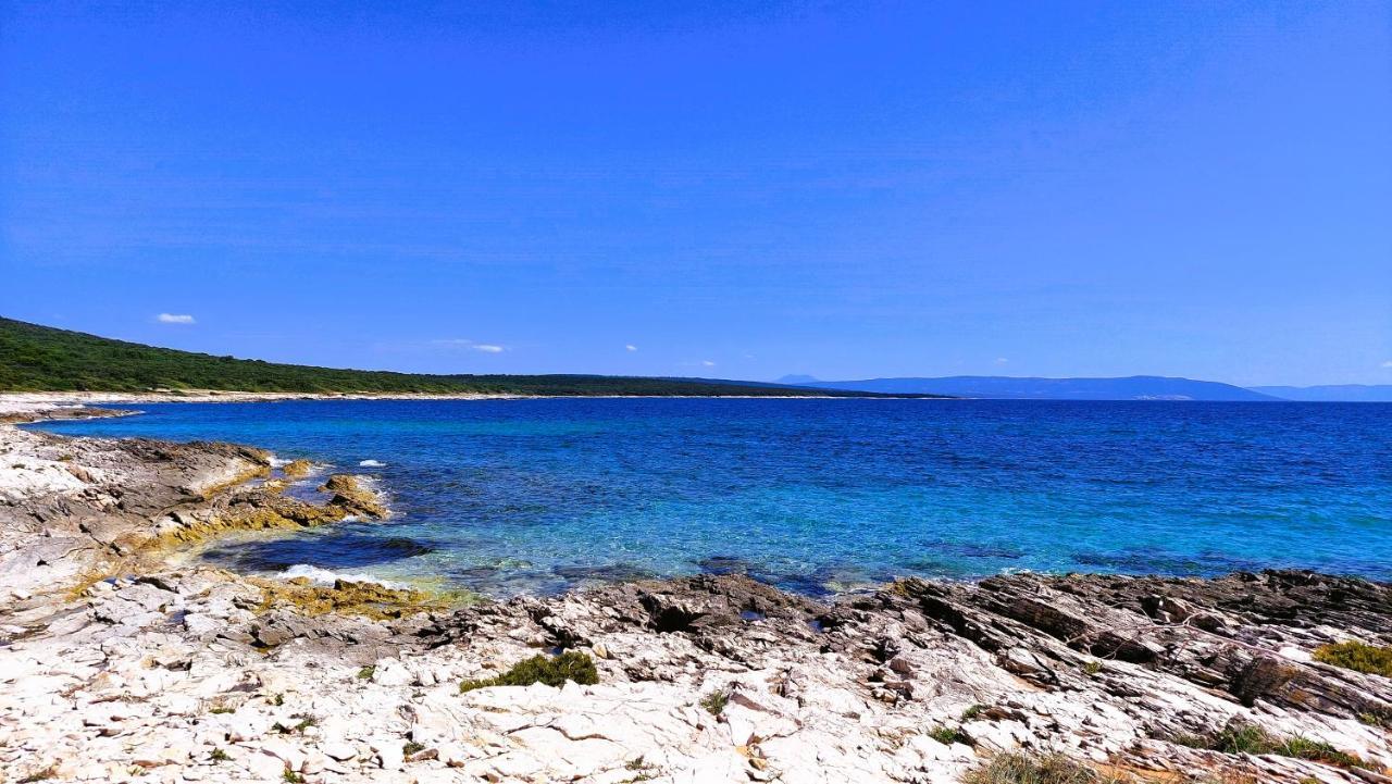 Apartment Agava Istria - Family Vacation Rental With Free Parking, Garden, Wifi Ližnjan Dış mekan fotoğraf
